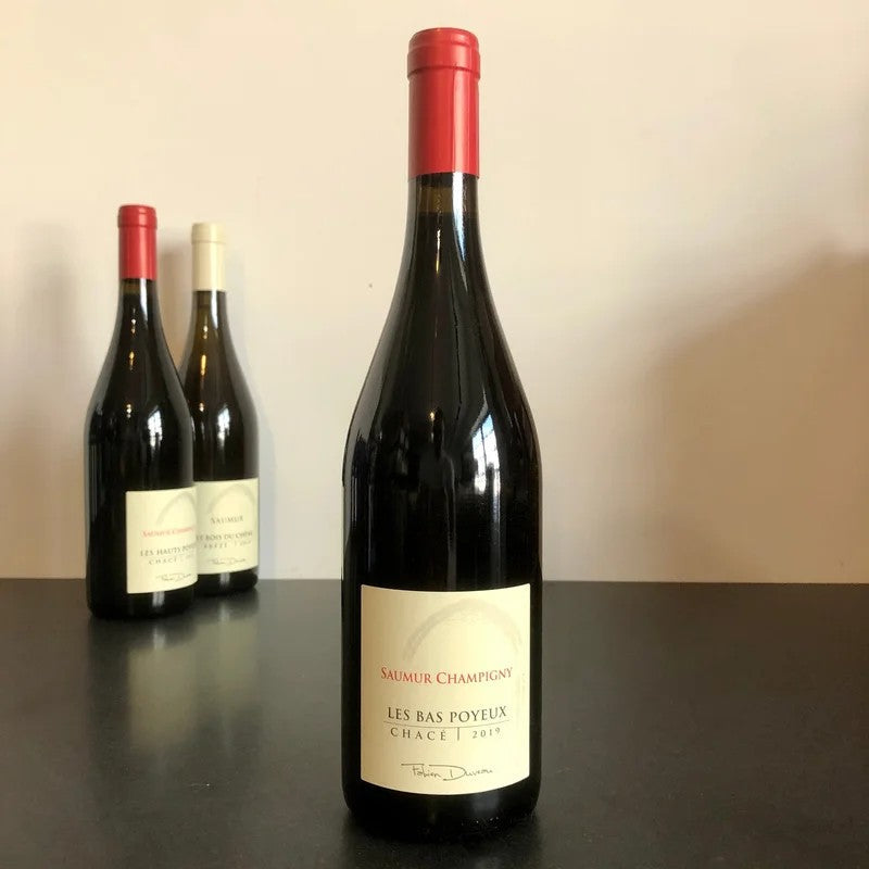 2019FabienDuveauSaumur-ChampignyChace“LesBasPoyeux”