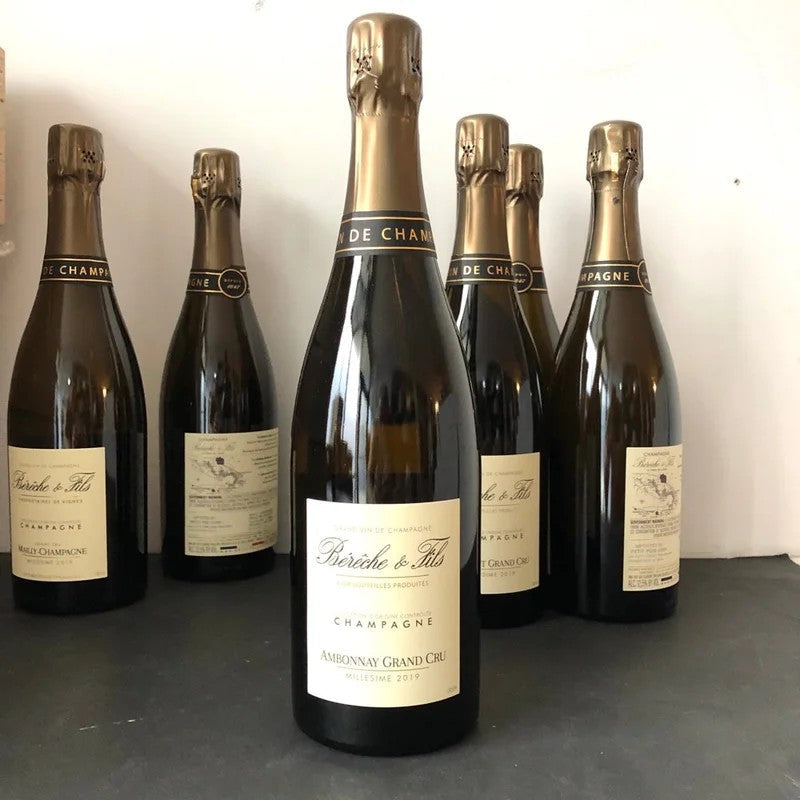2020BerecheetFilsAmbonnayGrandCru,Champagne,France