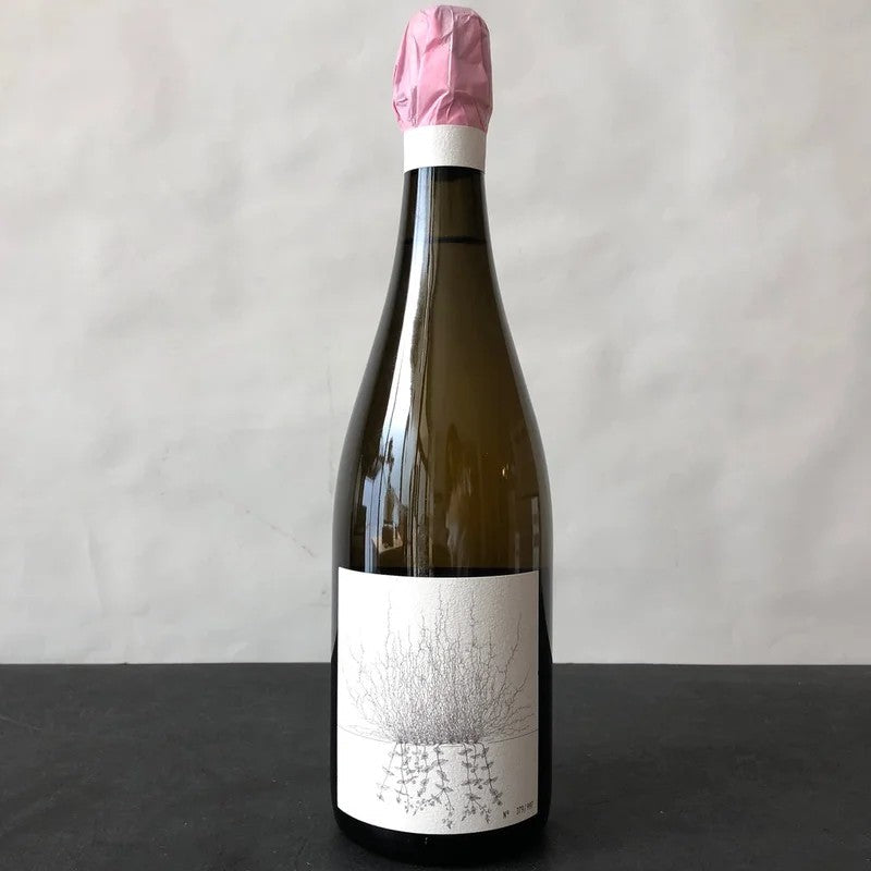 2021JohannesAufrichtBlancdeBlancSparklingV3,Baden,Germany