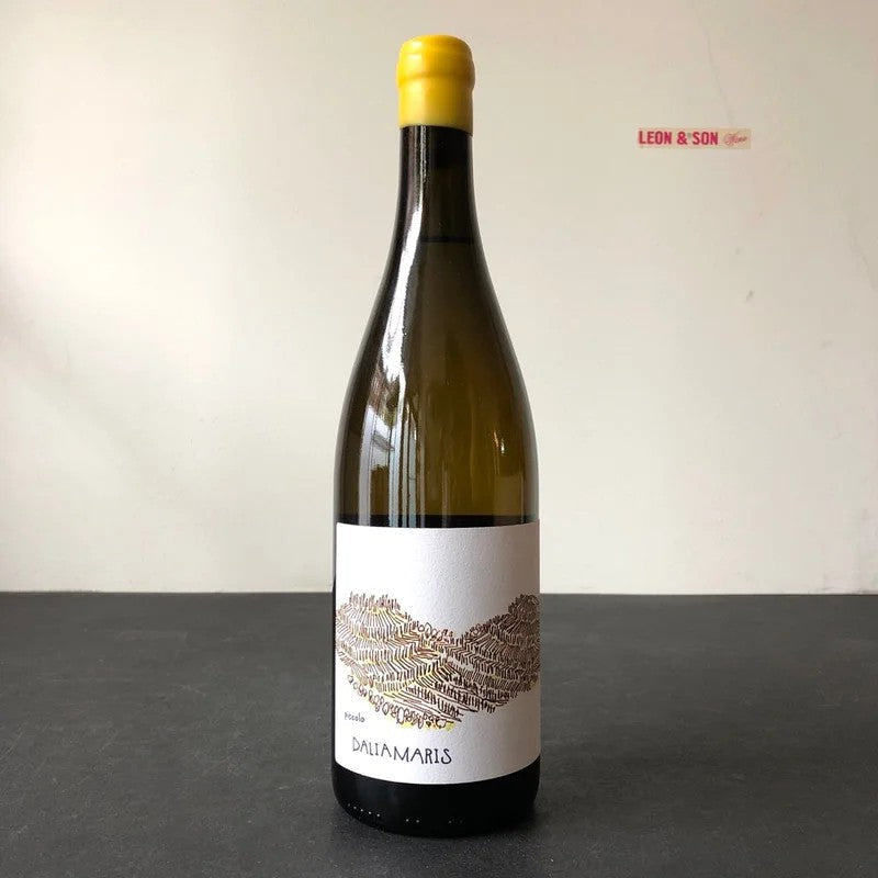 2022DaliaMaris,PiccoloBianco,FriuliColliOrientali,Italy