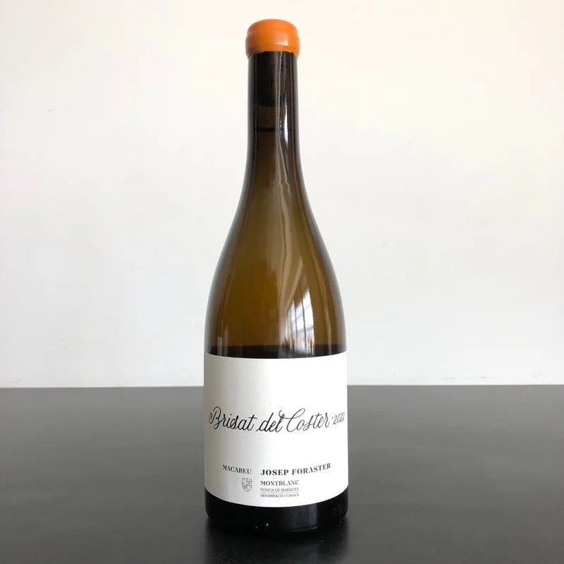 2022MasForaster‘JosepForaster’BrisatdelCosterMacabeuConcadeBarbera,Spain