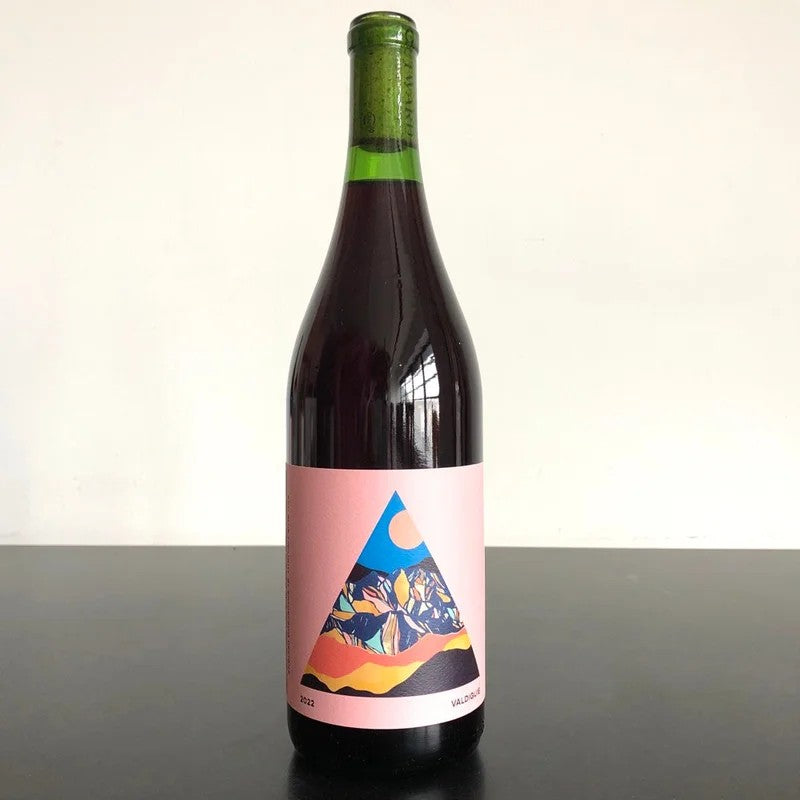 2022OutwardValdiguieShellCreekVineyard,PasoRoblesHighlands,USA