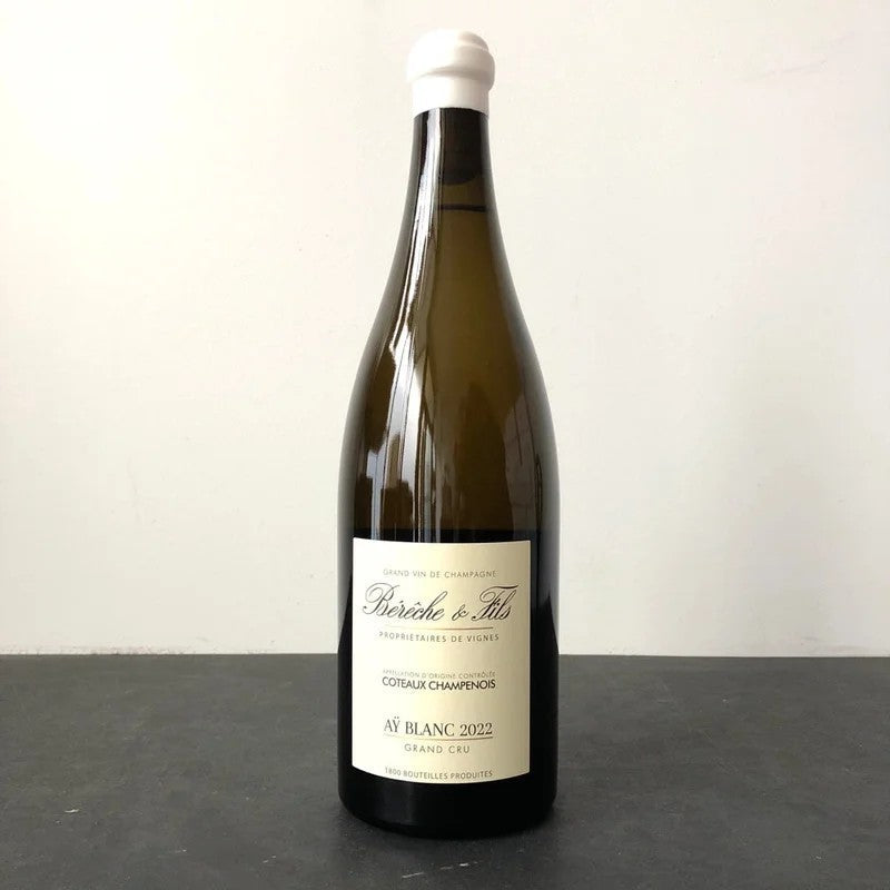 2023BerecheetFilsCoteauxChampenoisAyBlanc,Champagne,France