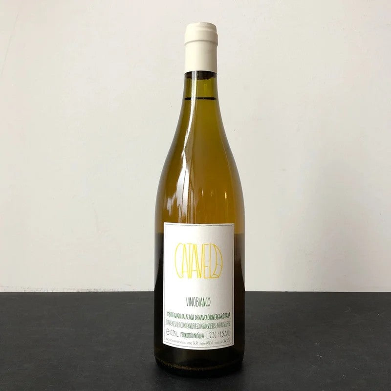 2023Denavolo‘Catavela’Bianco,Emilia-Romagna,Italy