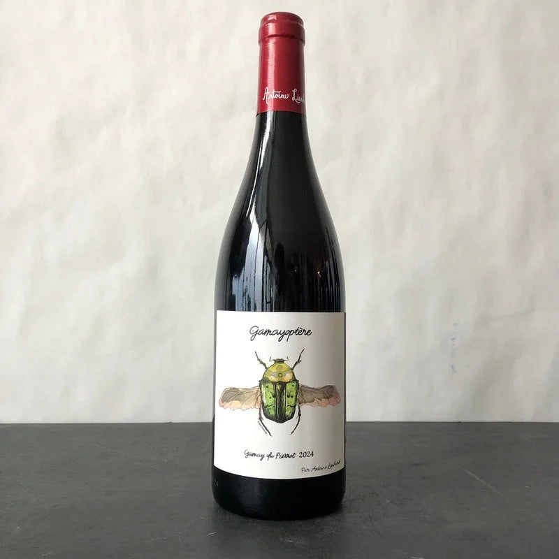 2024AntoineLienhardtCoteauxBourguignons“Gamayoptere”,Burgundy,France