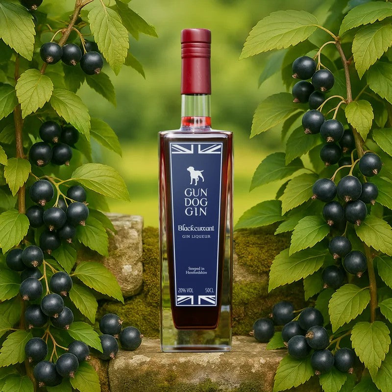BlackcurrantGinLiqueur