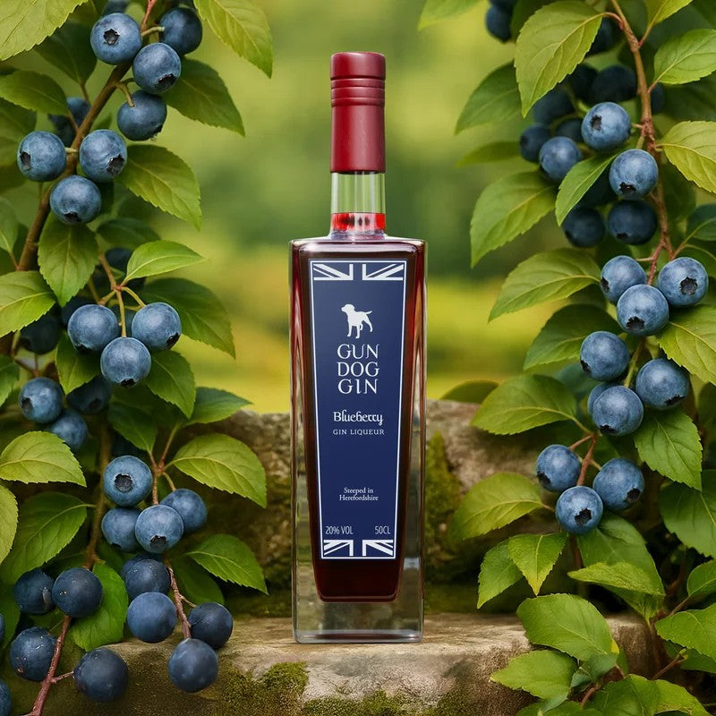 BlueberryGinLiqueur