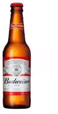 BUDWEISER330NRBX24