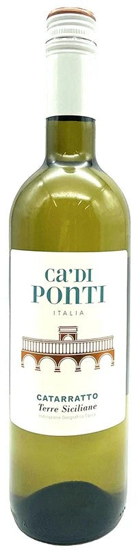 CADIPONTICATARRATTO2024