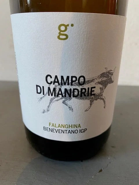 CampodiMandrieFalanghina2021BeneventanoIgp–GiovanniIannucci