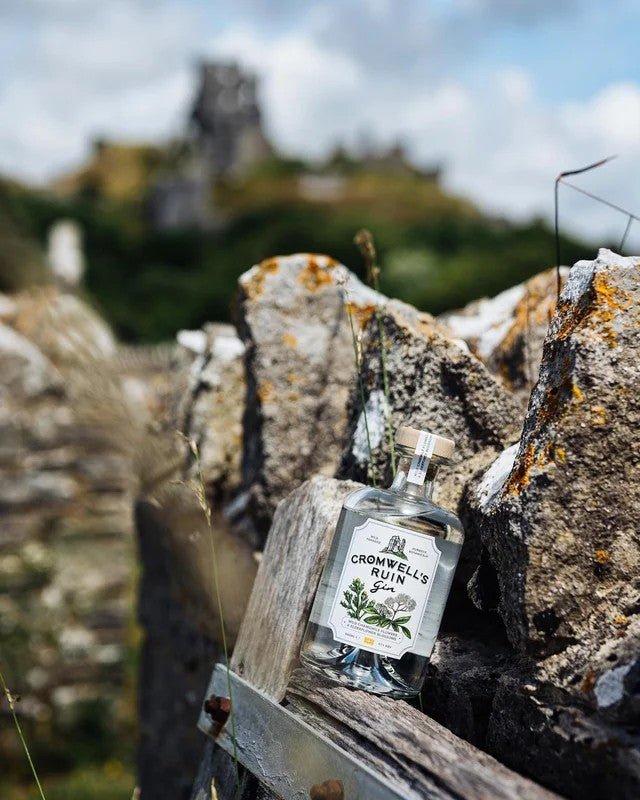 Cromwell’sRuinGin–withwild-foragedDorsetbotanicals