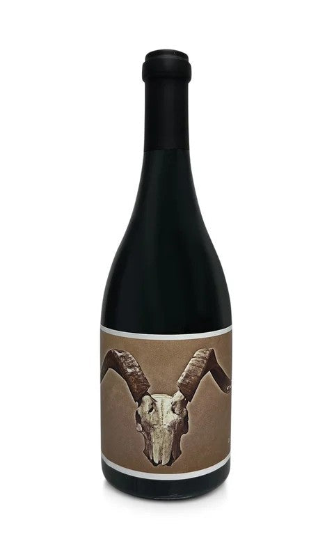 Disciples2018