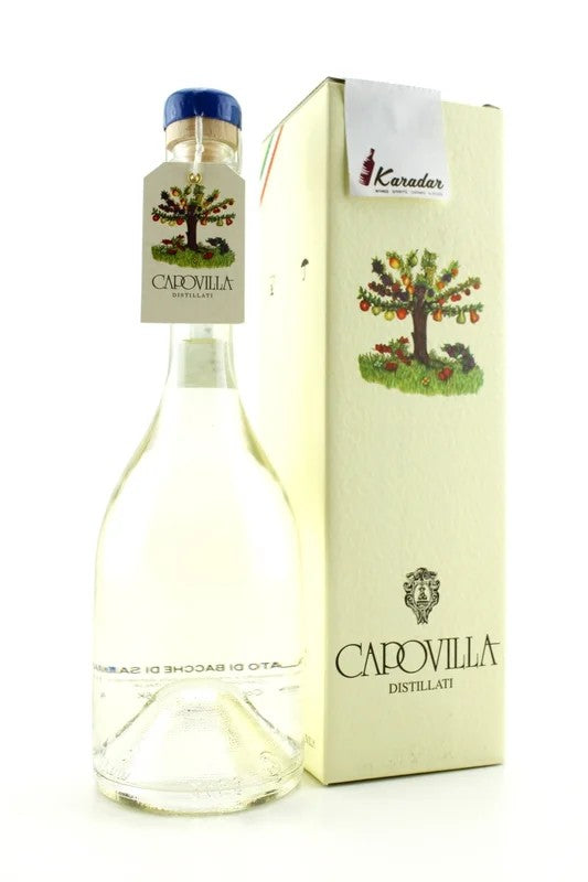 DistillateofElderberries41%vol.CapovillaDistillery