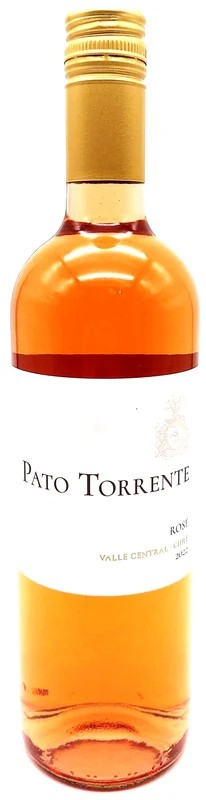 PATOTORRENTEROSE2023/24