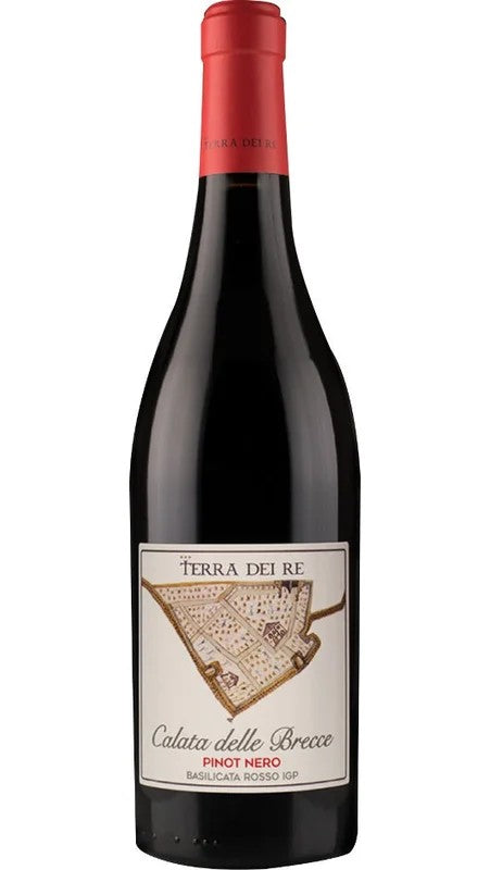 PinotNeroIGP–CalataDelleBrecce–TerradeiRe
