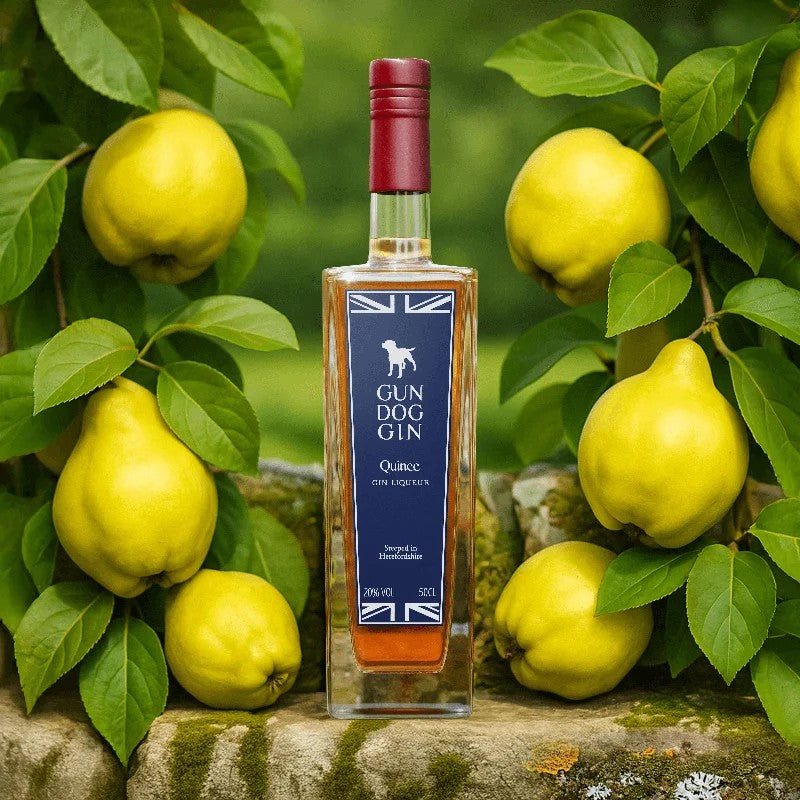 QuinceGinLiqueur