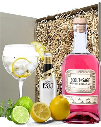 RaspberryGinAndTonicGiftSet