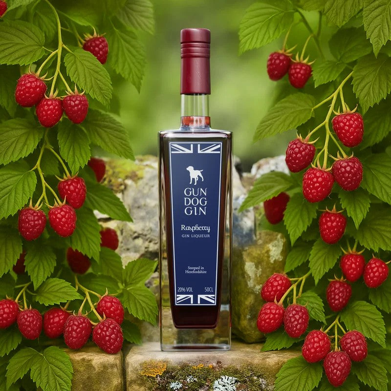 RaspberryGinLiqueur50cl–TEST