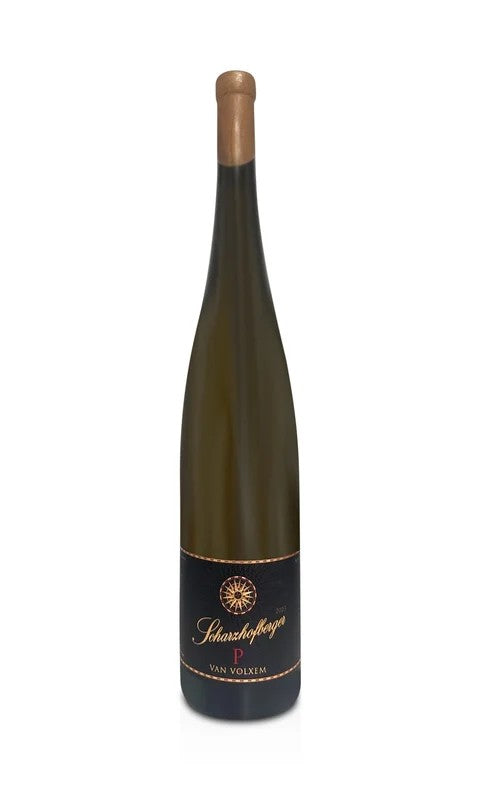 ScharzhofbergerPergentsknoppRieslingGrossesGewächsMagnum2023
