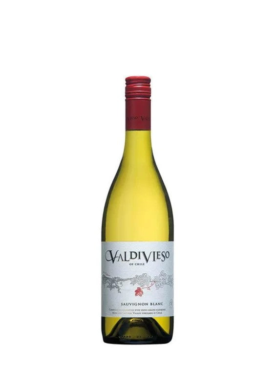 ValdiviesoSauvignonBlanc,AconcaguaValley,Chile