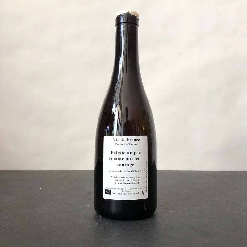 2017AndersFrederikSteen‘PalpiteUnPeuCommeUnCoeurSauvage’VDFWhite