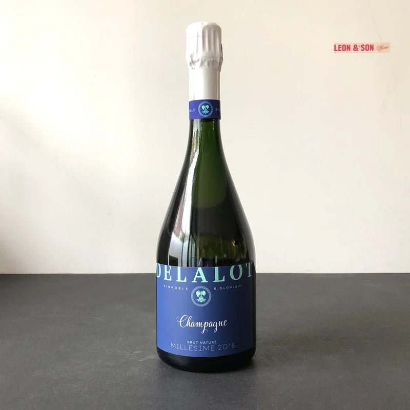 2018ElianeDelalotBrutNatureMillesime,Champagne,France