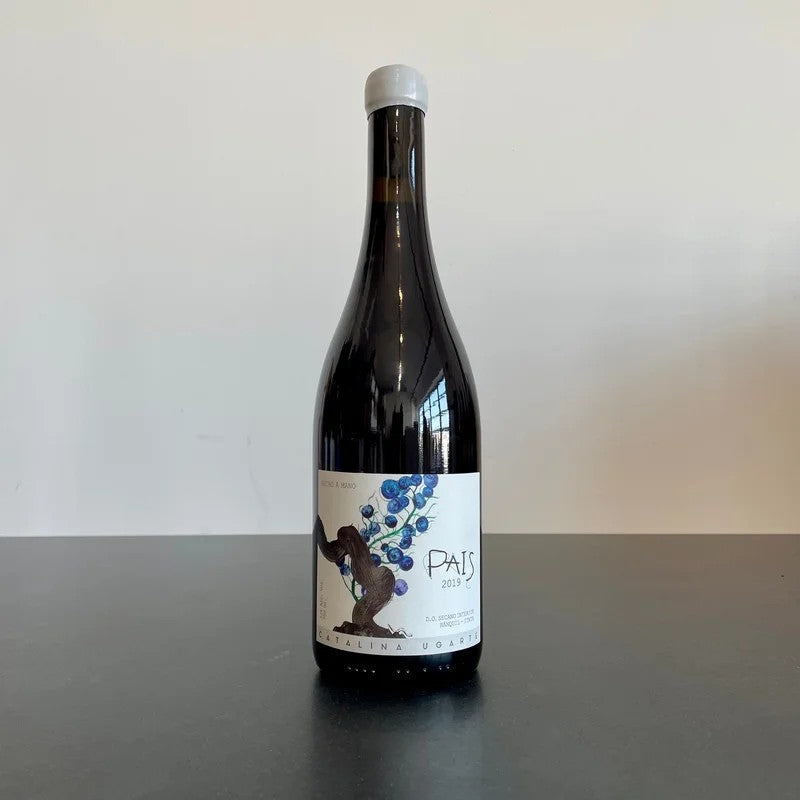 2019CatalinaUgartePaisSecanoInteriorRanquil,Itata,Chile
