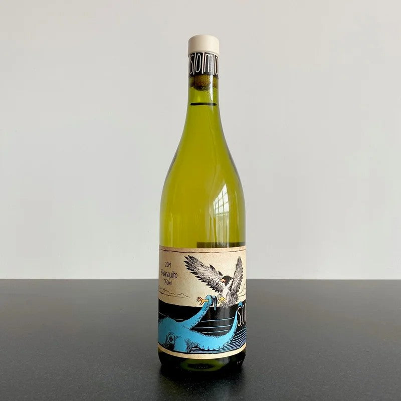 2019SomosBlanquito,SouthAustralia