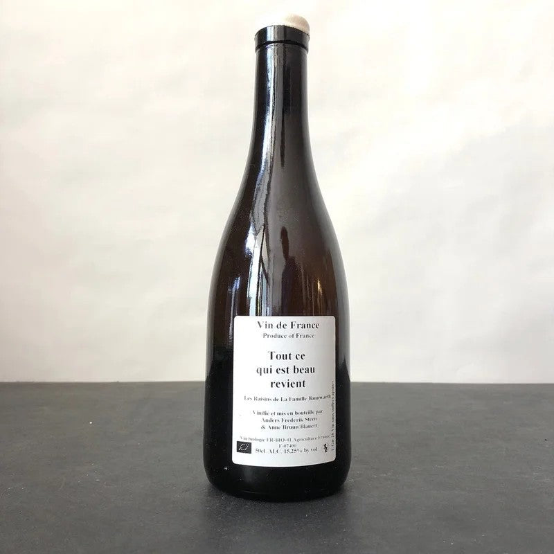 2020AndersFrederikSteen‘ToutCeQuiestBeauRevient’VDFWhite