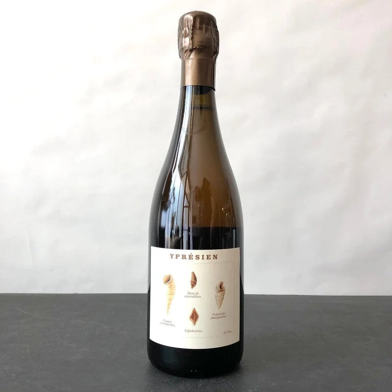 2020LegrandLatourYpresienBrutNature,Champagne,France