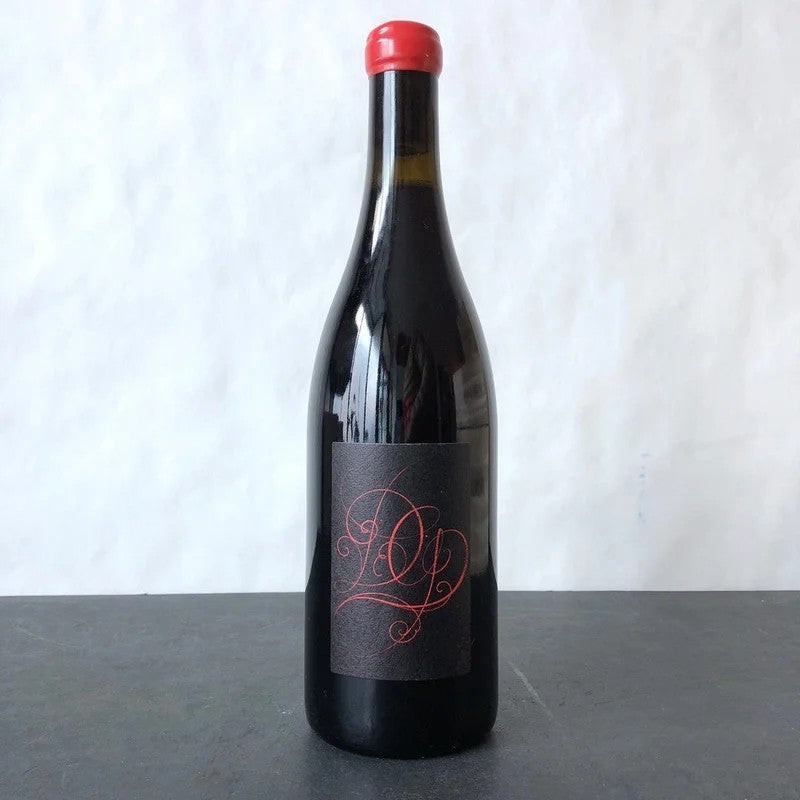 2022DamienGuadagnoloGamay,Jura,VindeFrance