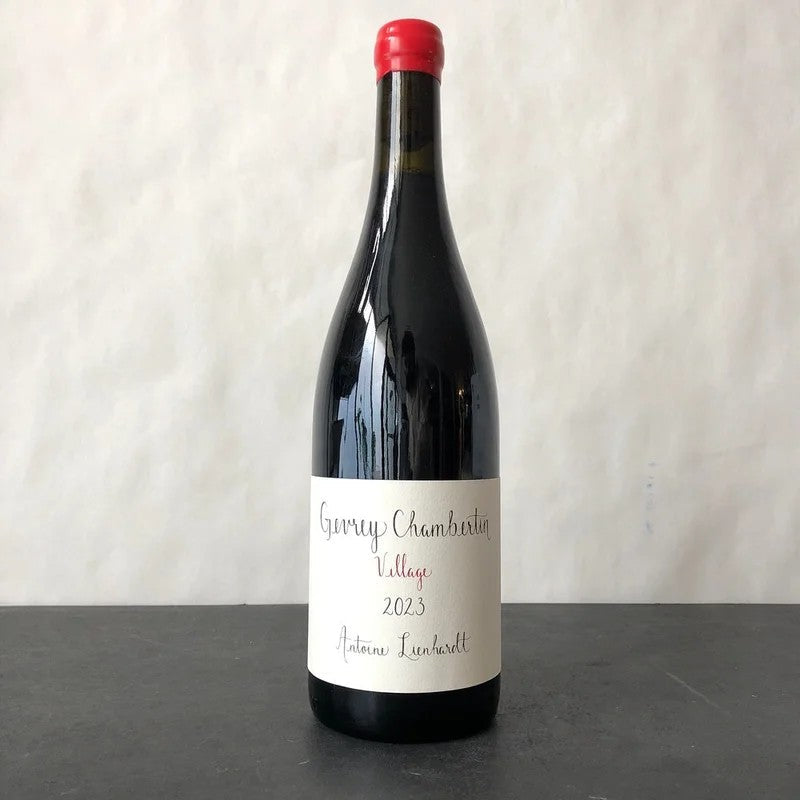 2023AntoineLienhardtGevrey-ChambertinVillageCotedeNuits,France