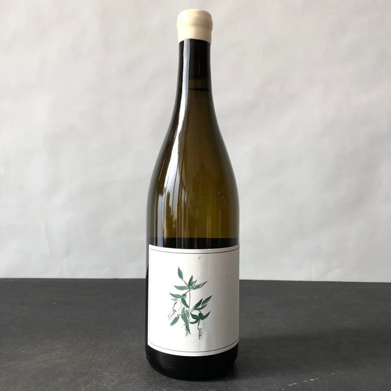 2023Arnot-RobertsTroutGulchVineyardChardonnaySantaCruzMountains,USA