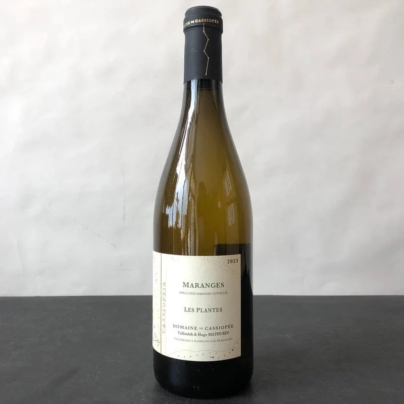 2023DomainedeCassiopeeMarangesBlancLesPlantes,CotedeBeaune,France