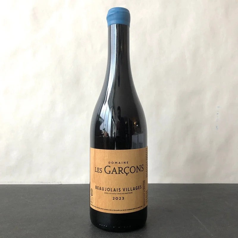 2023DomaineLesGarconsBeaujolais-Villages,Beaujolais,France