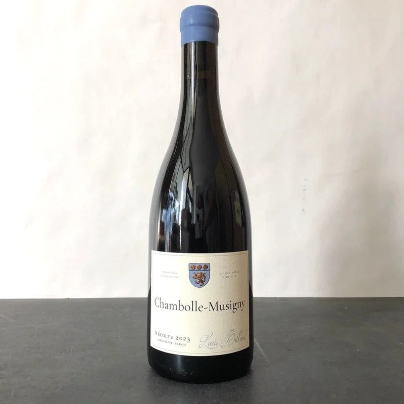 2023LouisBillardChambolle-Musigny,CotedeNuits,France
