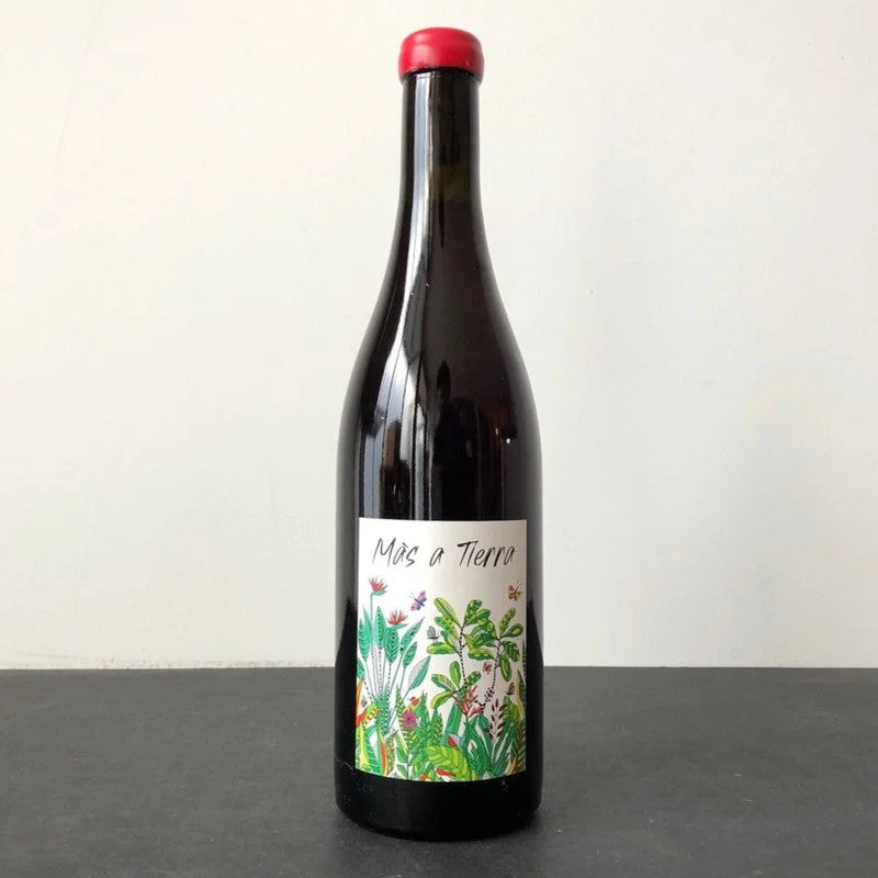 2023PetiteEmpreintePinotNoirCoteauxBourguignons‘MasaTierra’,Burgundy,France