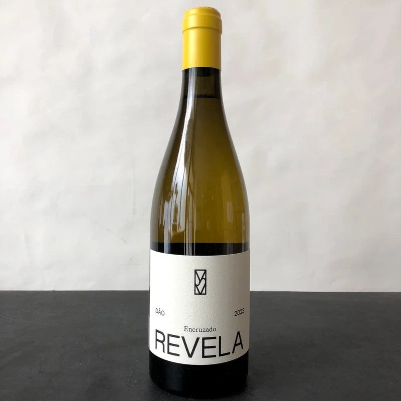2023Revela[MarianaSalvador]Encruzado,Dão,Portugal