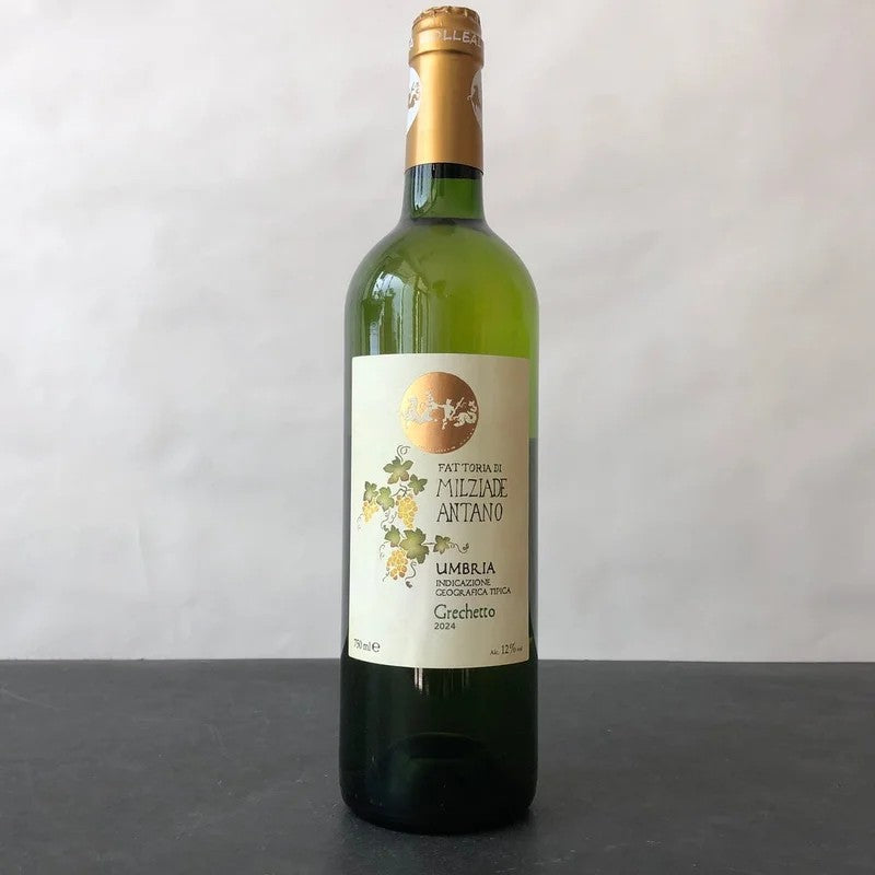 2024FattoriaColleallodoleMilziadeAntanoGrechettodeiColliMartani,Umbria,Italy
