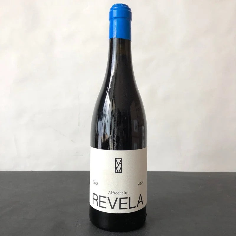 2024Revela[MarianaSalvador]Alfrocheiro,Dão,Portugal