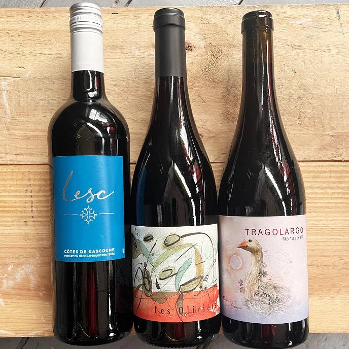 3bottleredwinecase