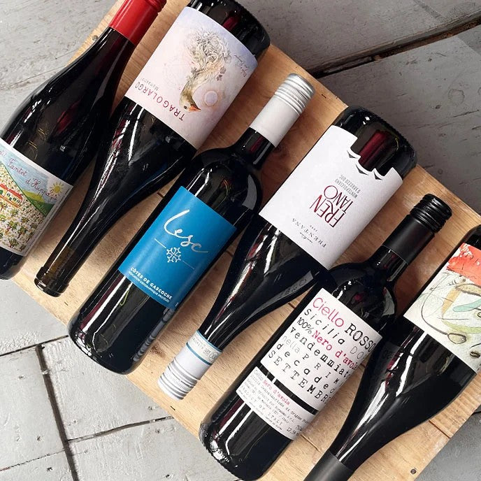 6bottleredwinecase