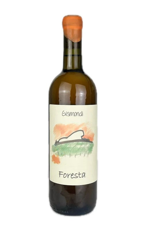AntonioGismondiForesta