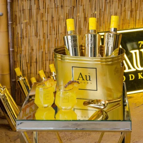 AUVodkaGoldIceBucket(10Ltr)
