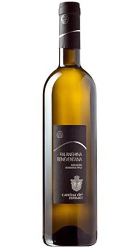 BeneventanoFalanghinaIGT–CantinadeiMonaci