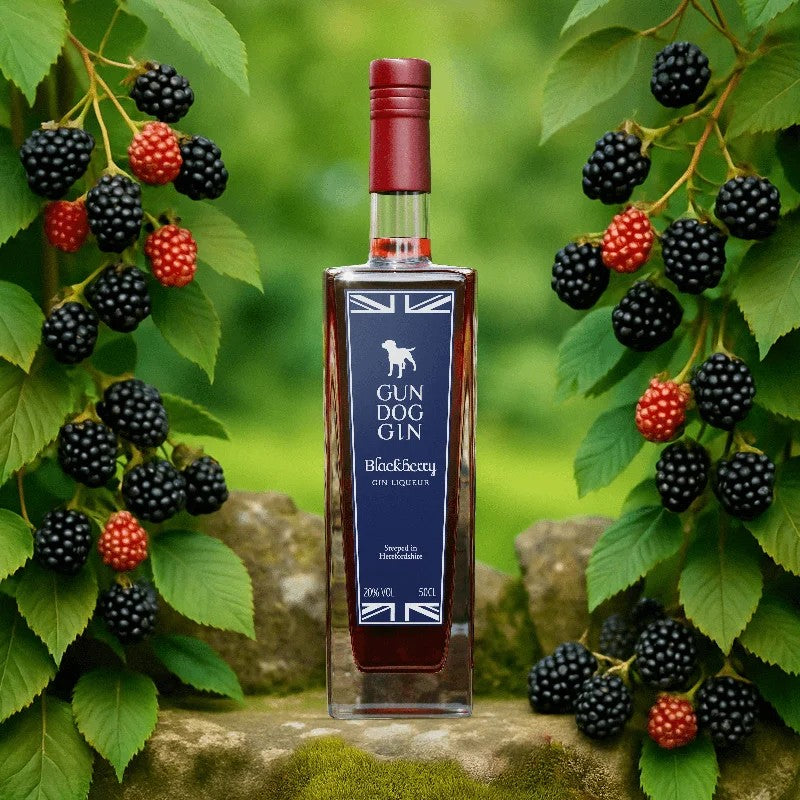 BlackberryGinLiqueur50cl–TEST