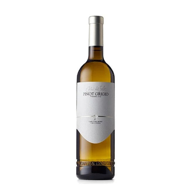 CantinaMoriPinotGrigioDop75clwine
