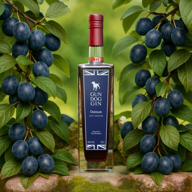 DamsonGinLiqueur50cl–TEST