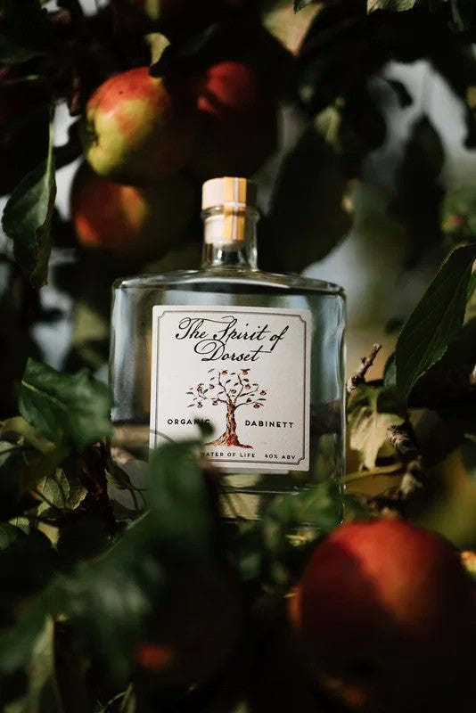 DeadMan’sFingersMangoTequilaCreamLiqueur70cl
