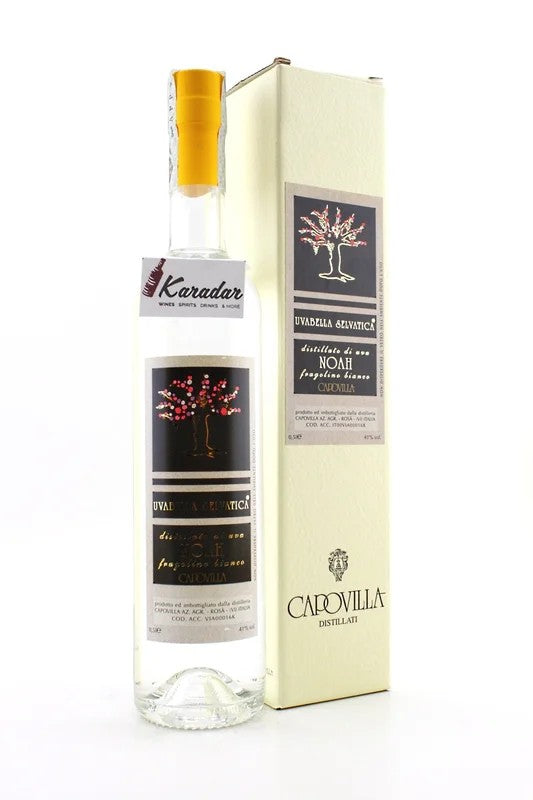 DistillatefromNoahgrapes(Fragolinobianco)41%vol.CapovillaDistillery